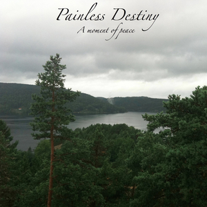 免费无毒不卡AV网站
